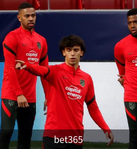 关于bet365